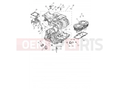 Triumph 2025 SPEED TWIN 1200 Crankcase & Fittings