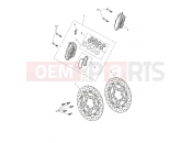 Triumph 2025 SPEED TWIN 1200 Front Brake Caliper & Disc
