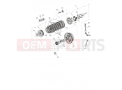 Triumph 2026 SPEED TWIN RS 1200 Clutch
