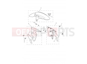 Front Mudguard - Triumph STREET TRIPLE 765 R 2025