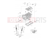 Cylinder Head & Valves - Triumph STREET TRIPLE 765 R 2025