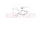 Triumph 2025 SCRAMBLER 900 - Liquid Cooled - > CM9963 Engine Service Kit
