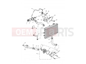 Triumph 2013 ROCKET III, CLASSIC & ROADSTER Cooling System