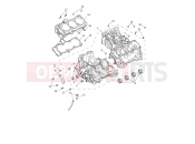 TRIUMPH Tiger 1200 GT Pro Crankcase & Fittings