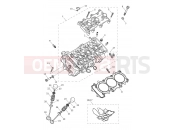 Triumph 2026 TIGER 900 Alpine Cylinder Head & Valves