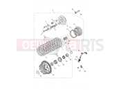 Triumph 2026 TIGER 900 Alpine Clutch
