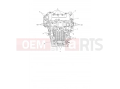 Triumph 2026 Tiger 1200 Alpine Crankcase Bolts
