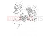Triumph 2026 Tiger 1200 Alpine Crankcase & Fittings