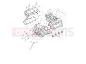 Triumph 2026 Tiger 1200 Rally Pro Crankcase & Fittings