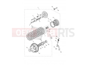 Triumph 2026 Tiger Sport 800 Clutch