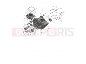 TRIUMPH TF250-C Crankcase