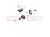 TRIUMPH TF250-C Alternator & Starter Motor
