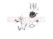 Cylinder Head & Valves - Triumph TF450-E 2026