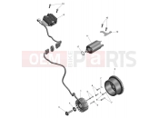 Alternator & Starter - Triumph SCRAMBLER 400 XC 2025