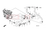 E-17 WATER PIPE - Honda CBF1000FB CBF1000F 2011