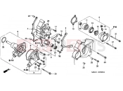 E-8 B. COVER / WATER PUMP - Honda VFR800FIY INTERCEPTOR 2000