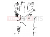 SUZUKI TS50ERKD D (1983) 37 - WIRING HARNESS