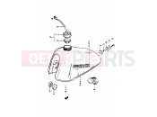 SUZUKI TS50ERKDB D (1983) 43 - FUEL TANK (MODEL D)